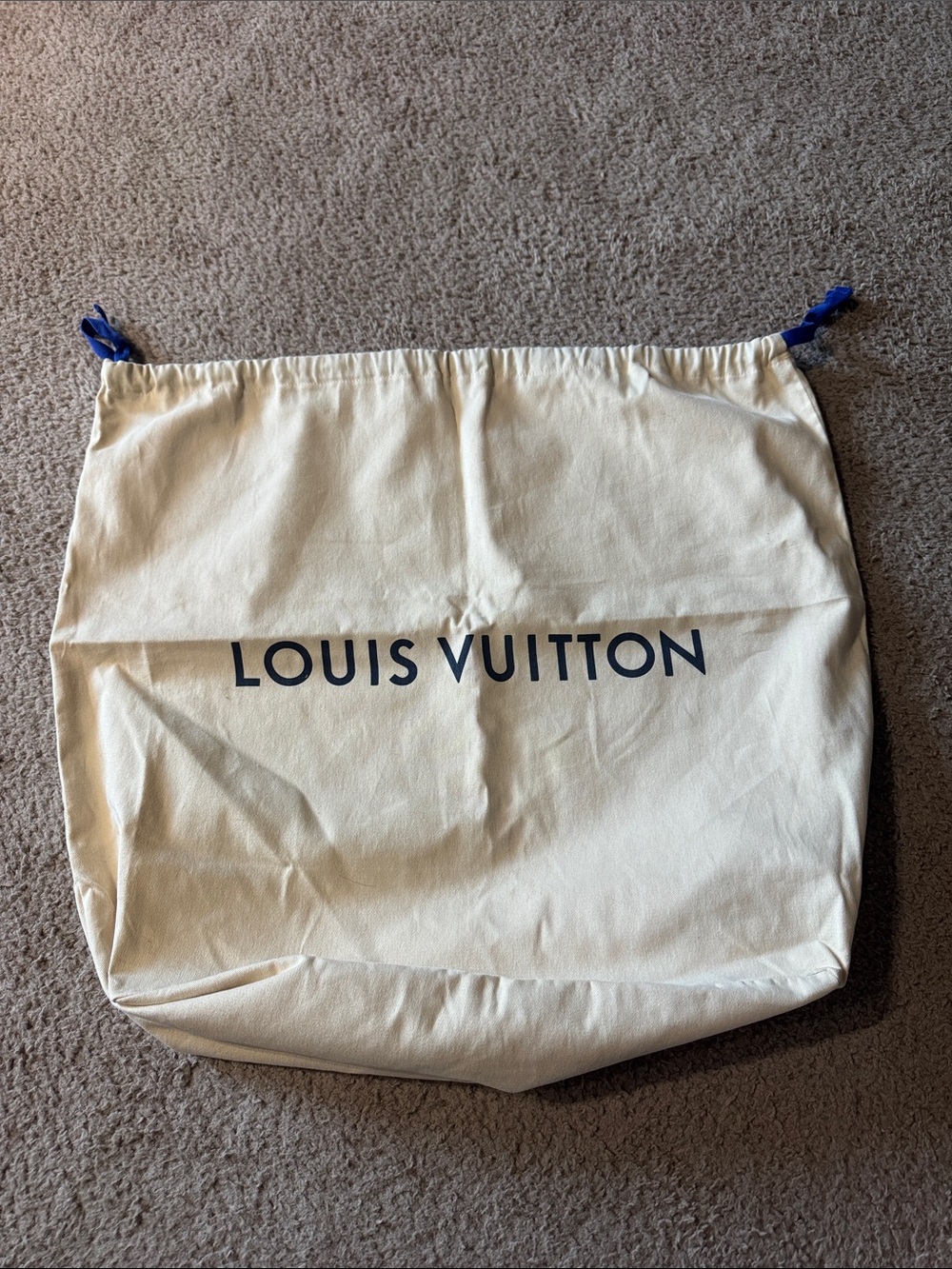 Louis Vuitton Handbag Storage Bag